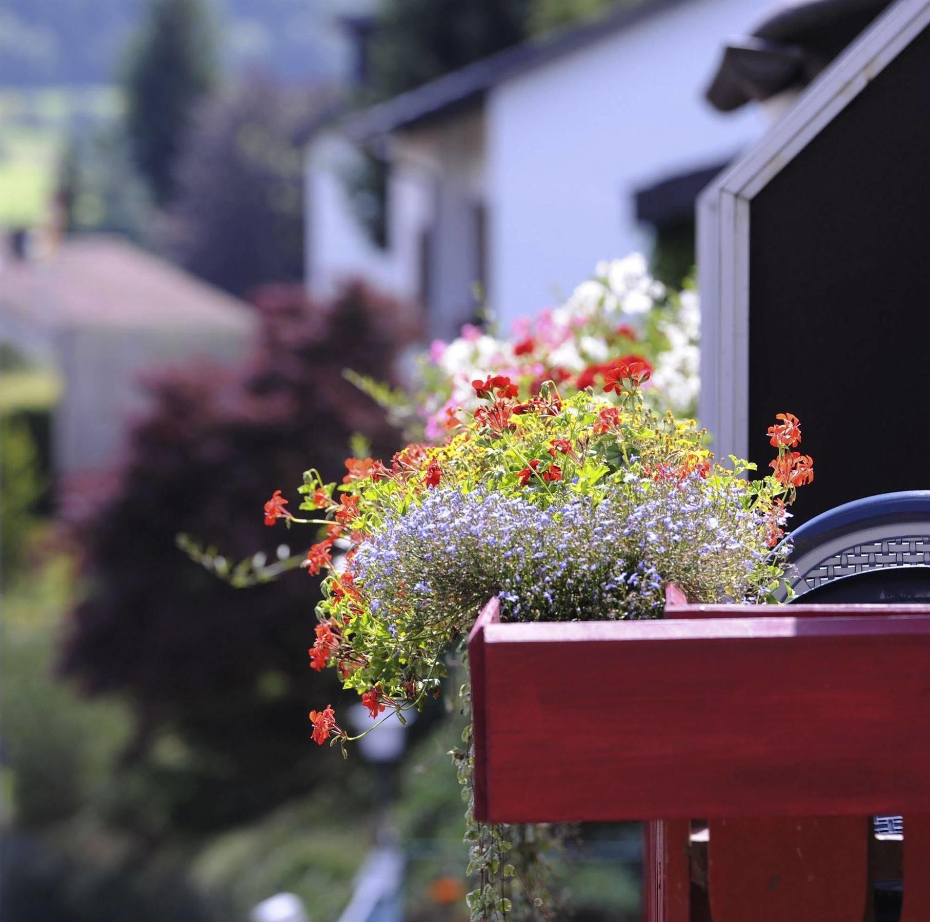 Hotel An Der Sonne Schoenwald im Schwarzwald Exterior photo